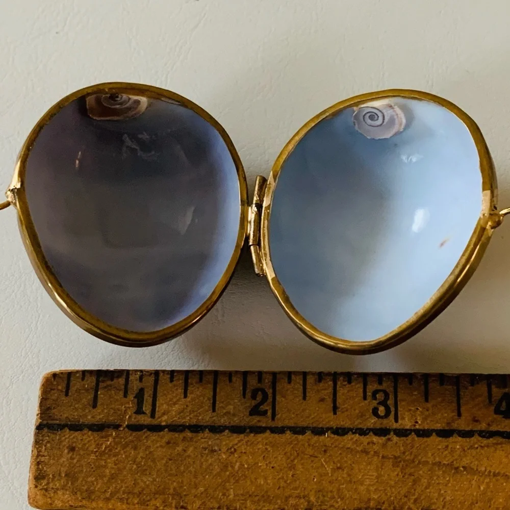 Shell trinket box with brass rim